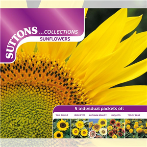 Sunflower Collection